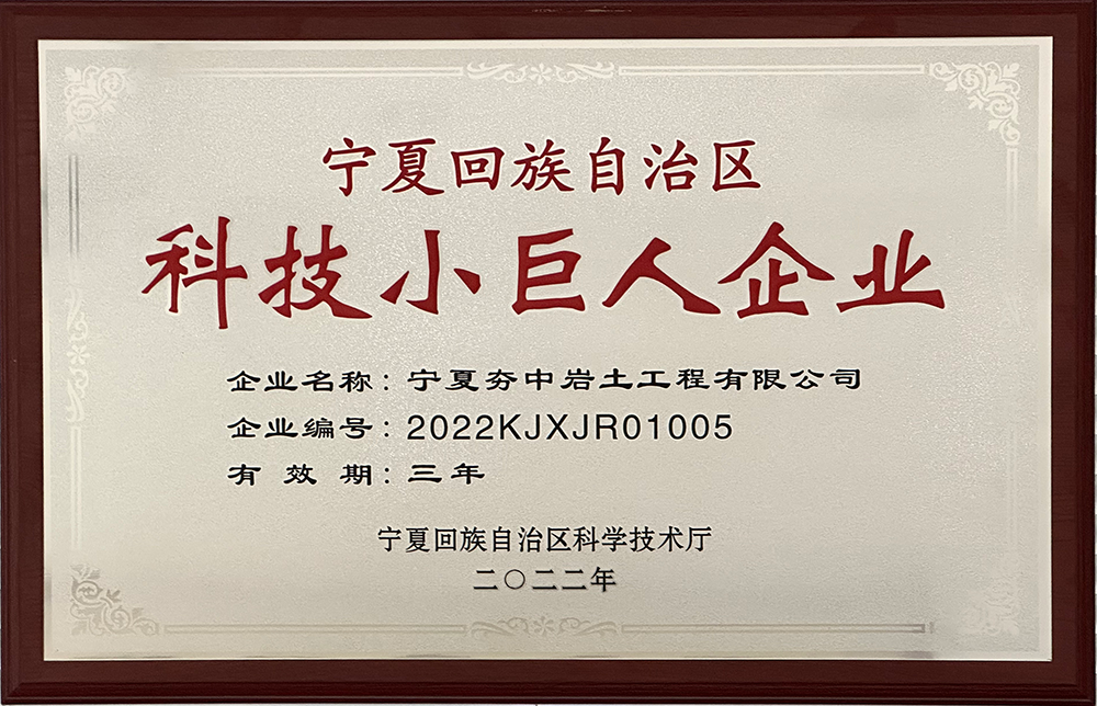 5寧夏回族自治區(qū)科技小巨人企業(yè).png